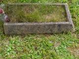 image of grave number 398133